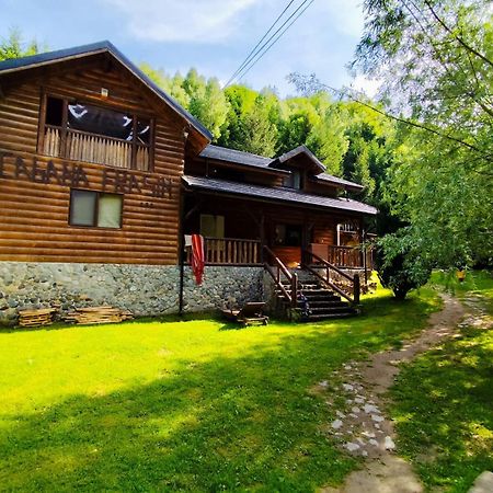 Cabana Frasin Dragoslavele Exterior foto