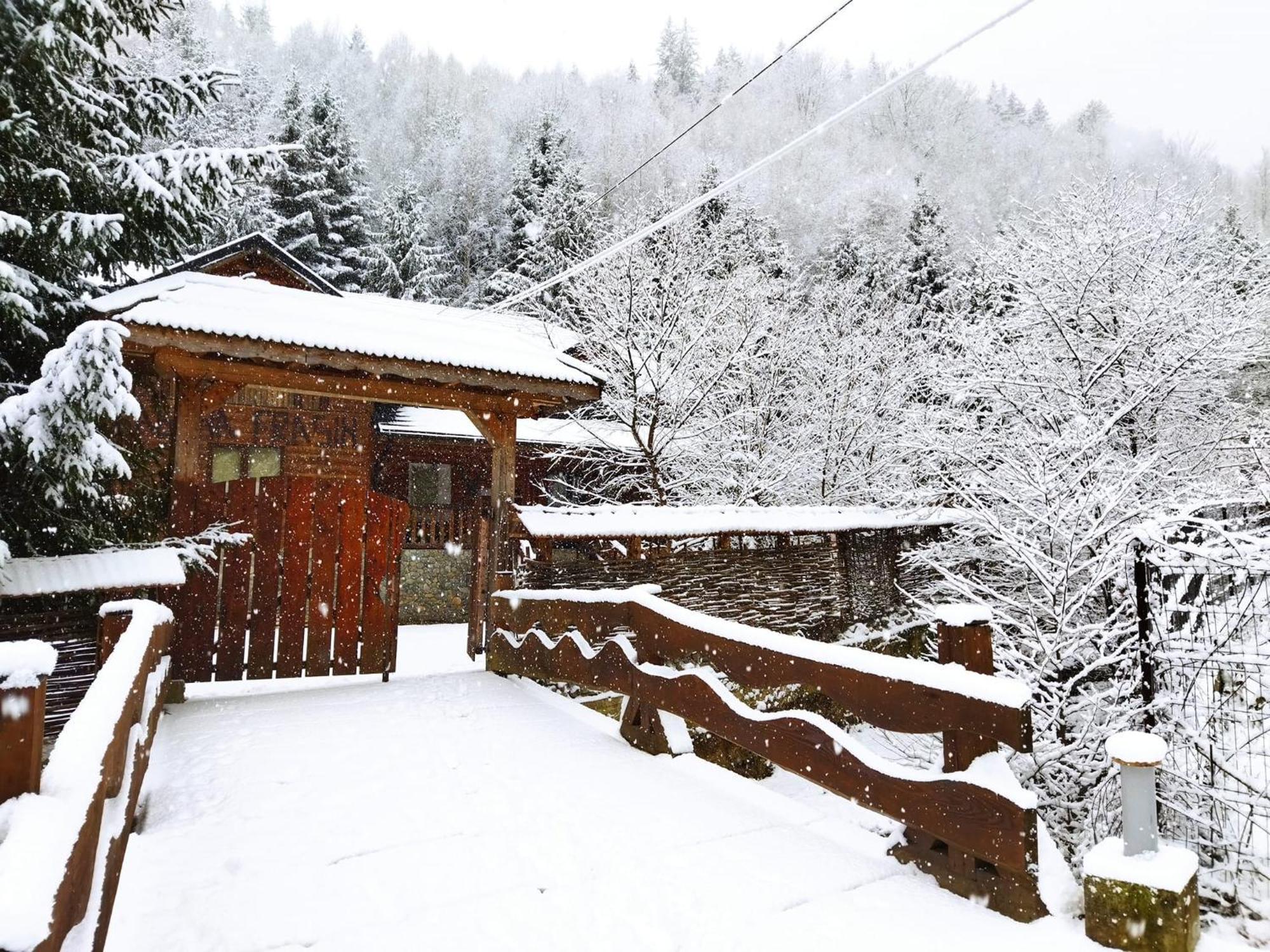 Cabana Frasin Dragoslavele Exterior foto