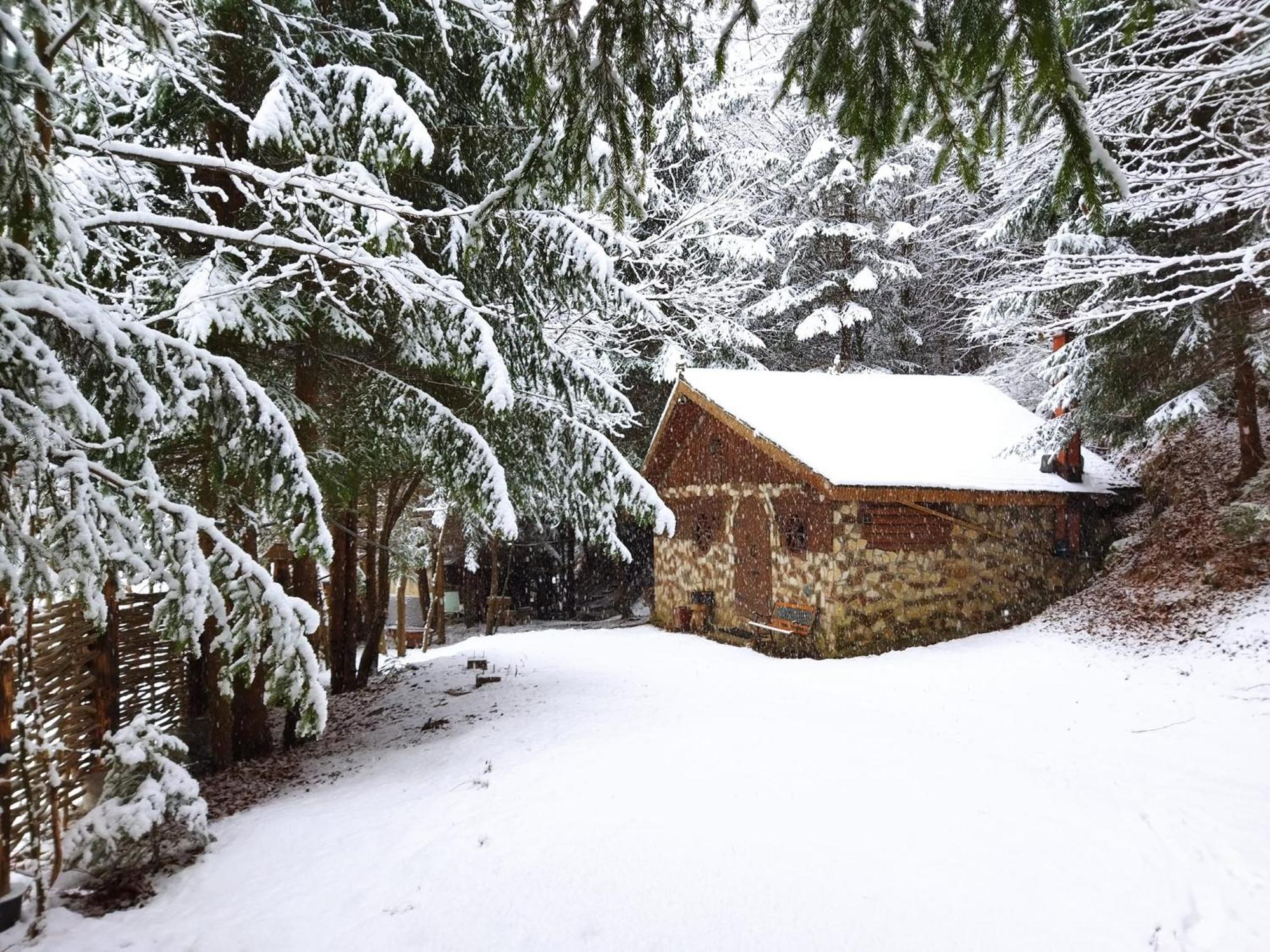 Cabana Frasin Dragoslavele Exterior foto