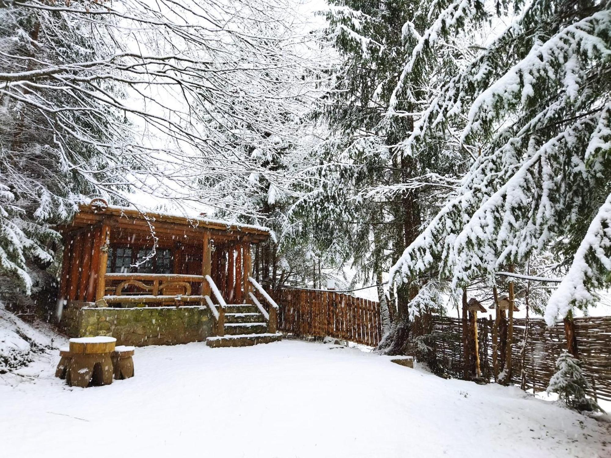 Cabana Frasin Dragoslavele Exterior foto