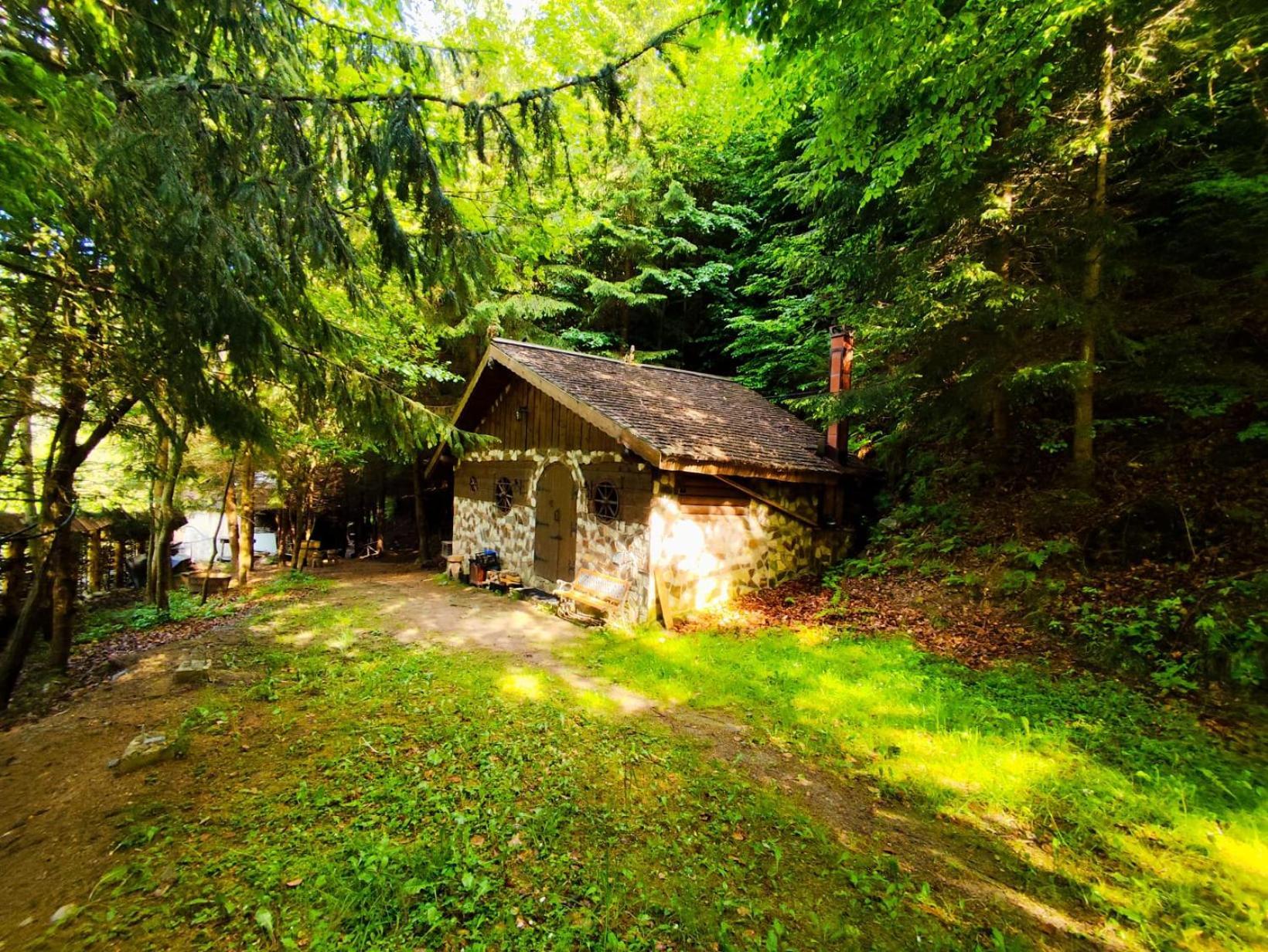Cabana Frasin Dragoslavele Exterior foto